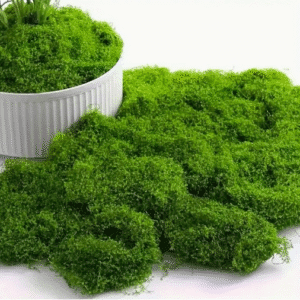 Musgo Artificial Realista de 10 G