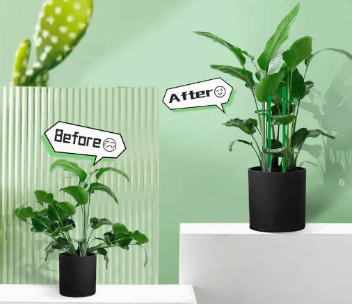 Varillas de Soporte para Plantas en Maceta - Image 2